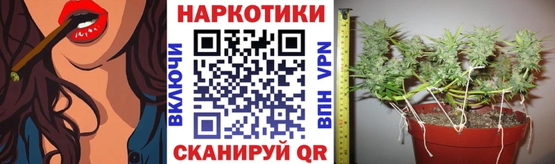 Цена Щёлкино Марихуана КОКАИН ГАШ А ПВП Галлюциногенные грибы Меф АМФ