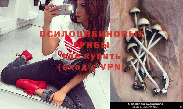 дживик Покровск