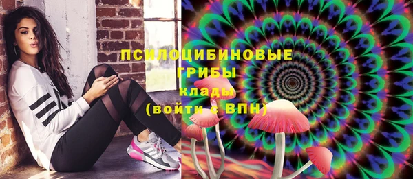 ALPHA-PVP Покров