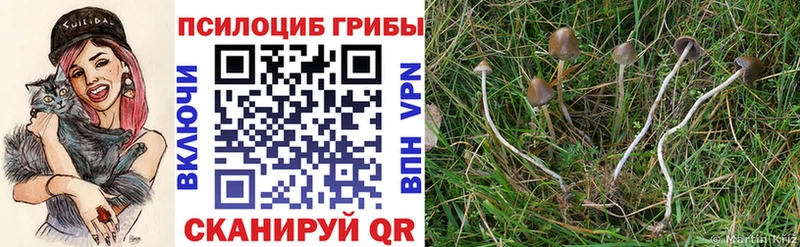 Галлюциногенные грибы MAGIC MUSHROOMS даркнет сайт Щёлкино